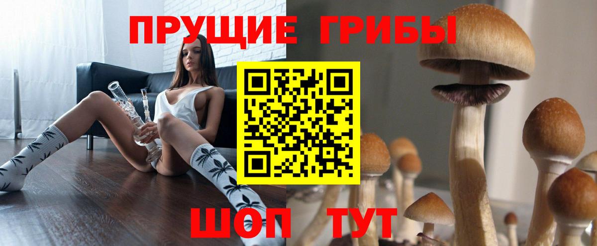 Галлюциногенные грибы Psilocybine cubensis  Вход с VPN  Псилоцибиновые грибы Cubensis  Лянтор 