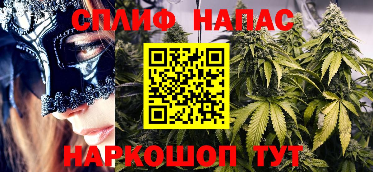 Шишки марихуана Amnesia Лянтор
